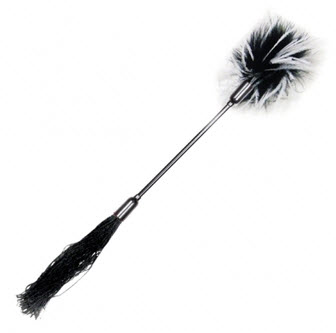 Whips, Paddles & Ticklers