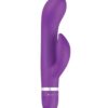 BSwish Bwild Classic Marine - Purple