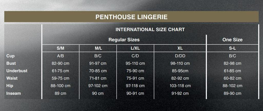 Penthouse Size Guide